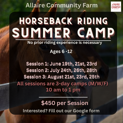 Allaire Community Farm's Horseback Riding Summer Camp