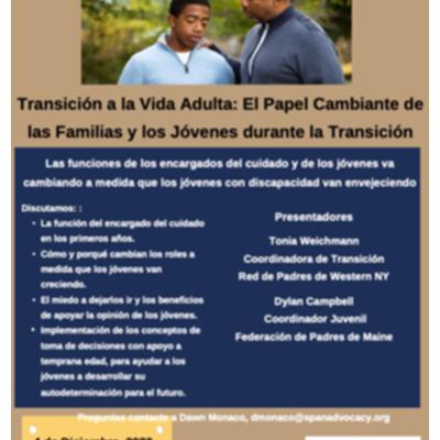 Transición a la Vida Adulta: El Papel Cambiante de las Familias y los Jóvenes durante la Transición