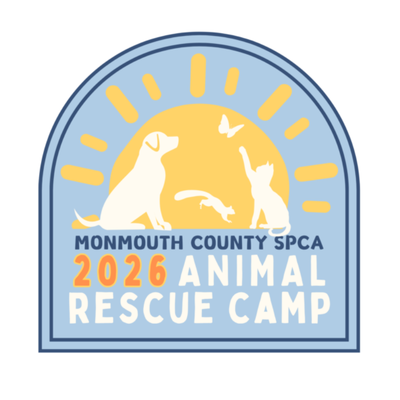 Animal Rescue Camp