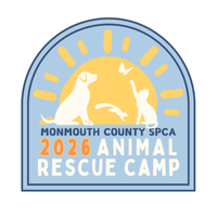 Animal Rescue Camp
