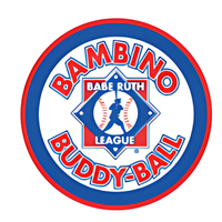 Bambino Buddy Baseball - Matawan Aberdeen Babe Ruth