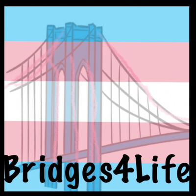 Bridges4Life
