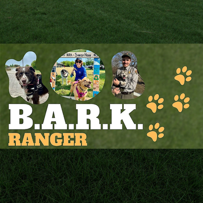B.A.R.K. Ranger Pop-Up at Sandy Hook