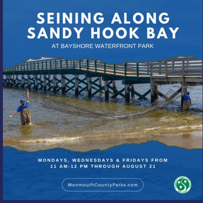 Seining Along Sandy Hook Bay