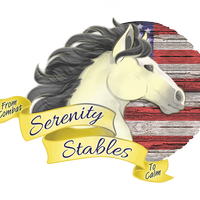 Serenity Stables from Combat to Calm
