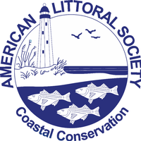 American Littoral Society Coastal Camps - Sandy Hook Coastal Camp