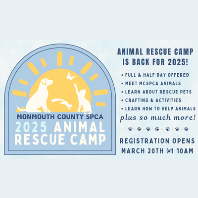 Animal Rescue Camp